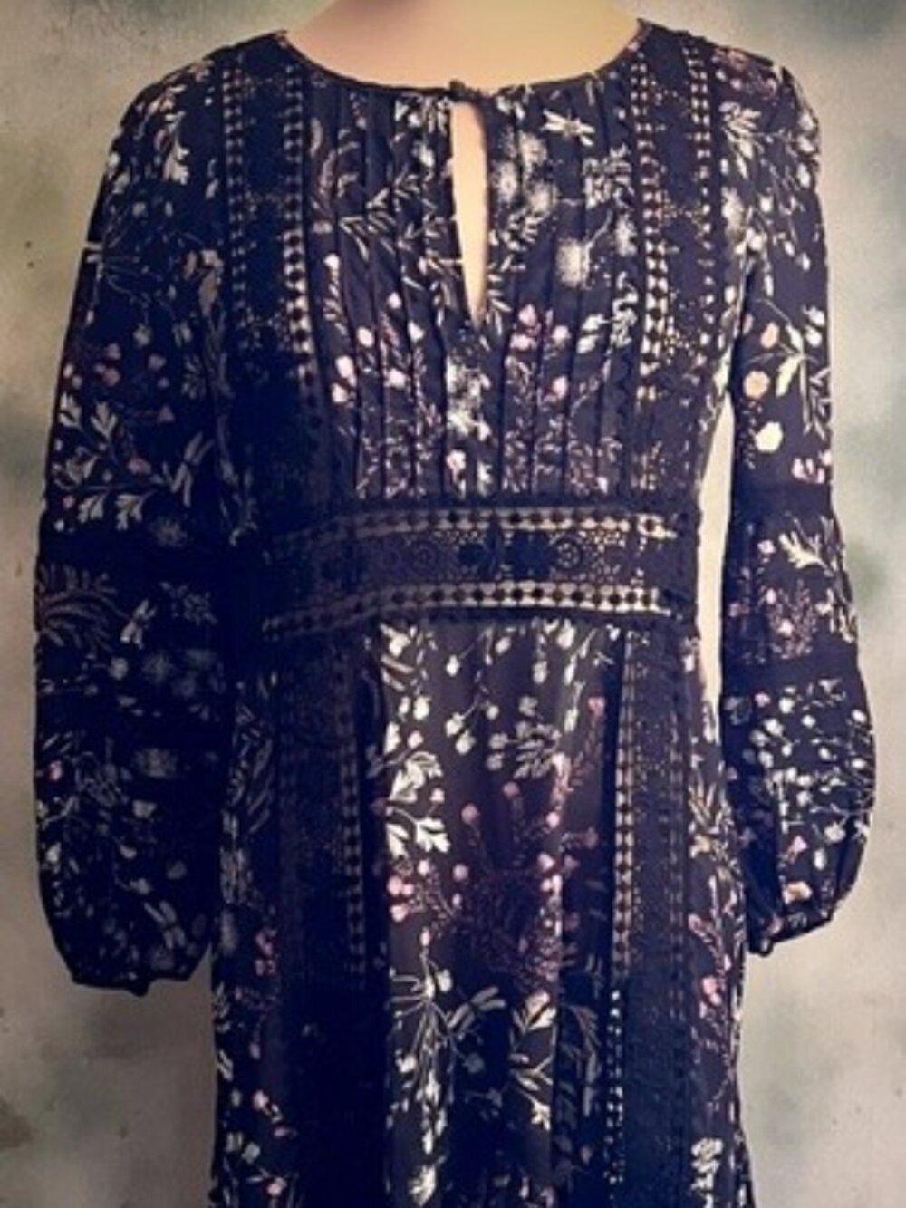 Anthropologie Moulinette Soeurs Size 2 Floral Dragonfly Boho Dress